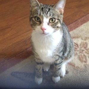 Meet your Posher, Teresa